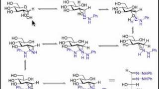 Osazone Formation A Symphony of Sugar Chemistry [upl. by Luca512]