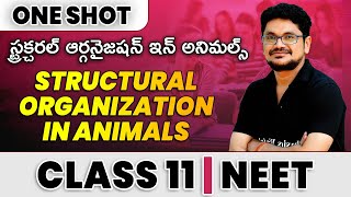 STRUCTURAL ORGANIZATION IN ANIMALS in 1 Shot  All Theories amp PYQs Covered  Class 11  NEET [upl. by Emerick]