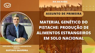 Material genético do pistache produção de alimentos estrangeiros em solo nacional [upl. by Arihsan334]