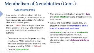 Xenobiotics metabolism [upl. by Hartzke]