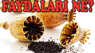 Çörek Otunun Faydaları ve Zararları [upl. by Vanda651]