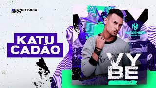 KATUCADÃO  Victor Meira  CD Promo Vybe [upl. by Aline]