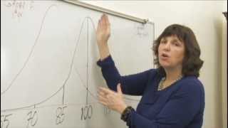 Module 7 Validity Part 2 Validity SES and the WISCIV Spanish [upl. by Lacagnia]