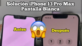 Como Reparar Pantalla Blanca iPhone 13 Pro Max [upl. by Ieppet338]