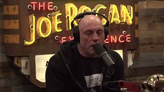 Joe Rogan Bat House Are MORE Effective Than Pesticides？ [upl. by Akemyt325]