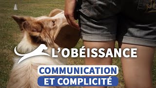 Obéissance canine  une discipline exigeante dans une main de velours [upl. by Bjorn593]