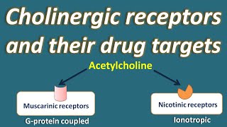 Cholinergic receptors and their drug targets [upl. by Earle750]