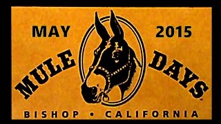 MULE DAYS BISHOP CA 2015 [upl. by Lehsreh]