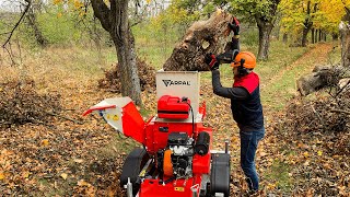 💎You have not Seen This Before Universal Wood Chipper Shredder [upl. by Dann]