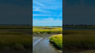 Grassy pasture Field beach field farming trending viralvideo viralshorts shorts reels music [upl. by Gone]