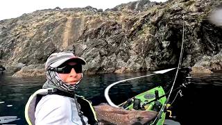 Jigging in 80 Meters Then Catching FISH IN CAVES  UNREAL NZ FISHING [upl. by Asirralc]