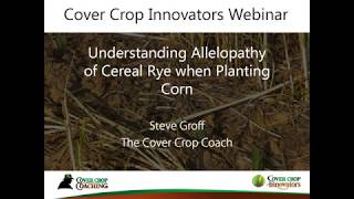 Podcast Understanding Allelopathy with Cereal Rye when Planting Corn [upl. by Fulks]