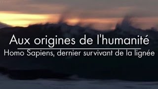 Aux origines de lhumanité  Homo Sapiens dernier survivant de la lignée 33 [upl. by Armington]