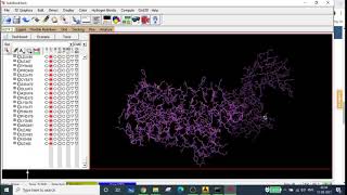 AutoDock Tutorial Part 3 Prepare Macro moleculeProtein for Docking [upl. by Wandis193]