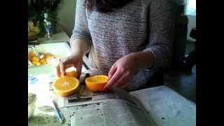 DIY Orange Bird Feeder [upl. by Ativak]