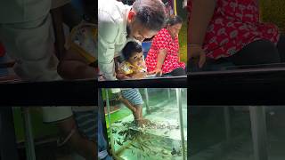 NR Fish Spa Besant Nagar beach and Kovilambakkam 9952085544 fish ytshorts cutebaby funny cute [upl. by Almund159]