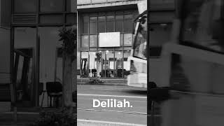 Delilah  Lygon St Brunswick East curlyhair drycutting [upl. by Letrice255]