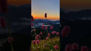 Milne hai mujhse aayi 🌿💖  Aesthetic song status 🍁  Arijit singh  whatsapp status  lyrics [upl. by Dominic874]