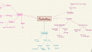 Bartonellosis Cat scratch disease and more  Bloodstream Infections  2nd year MBBS  Microbiology [upl. by Asilat449]