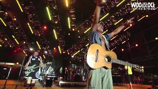 Manu Chao  WOODSTOCK Festival Poland 2014 [upl. by Erodaeht]