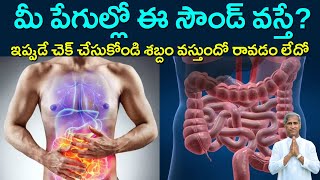 How to Stop Your Stomach Noises  మీ పేగుల్లో ఈ సౌండ్ వస్తే   Dr Manthena Satyanarayana Raju [upl. by Ful]