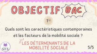 BAC Cours Mobilité Sociale  Les déterminants de la MS [upl. by Drofla]