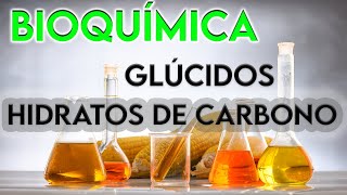 12¿Está bien dicho HIDRATO DE CARBONO  GLÚCIDOS [upl. by Tacklind]