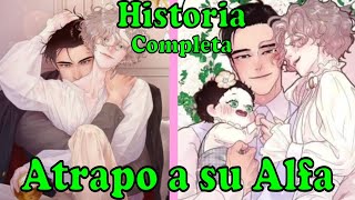 🟢Historia completa Omegaverse REAUMEN MANHWA BL de Principio a Fin 🟢Shadowbl [upl. by Inami925]