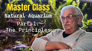 In This Master Class Learn The Principles Of Creating Natural Aquariums That Are Aquatic Ecosystems [upl. by Assetal230]