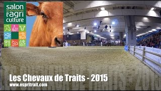 Salon International de lAgriculture 2015 [upl. by Casandra]