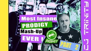 Most Insane Prodigy Mashup Ever Part 2 [upl. by Eylrahc]