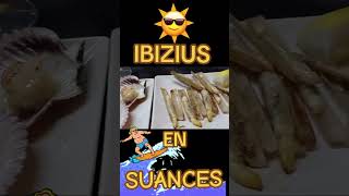 IBiZiuS En SuaNCeS playa cantabria comer surf [upl. by Nitfa]