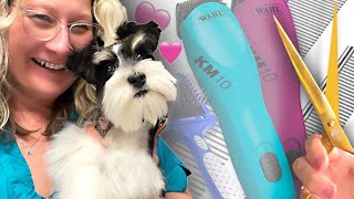 Miniature Schnauzer a Perfect Haircut Unleash Your Dog Grooming Skills Grooming with Love ❤️ [upl. by Grosz197]