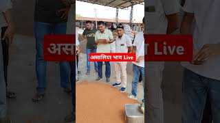 मेड़ता मंडी असालिया भाव Live mandibhav asaliya mertamandi farmer kisan jeera [upl. by Niveg]