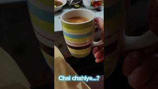 Tea lovers  Chai shorts ytshorts tea chai [upl. by Leahplar]