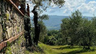 Chianti Italy Tuscan day [upl. by Alburga]