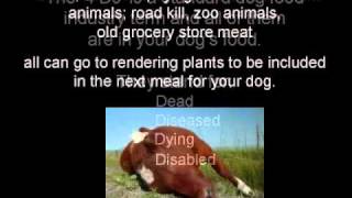 Commercial Dog Food Exposed [upl. by Corbie]