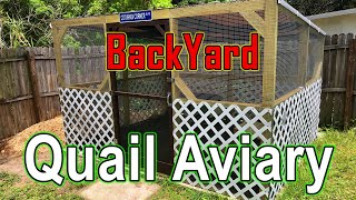 BackYard Quail Aviary  Keeping Coturnix Quail in an outdoor setting [upl. by Dressler580]