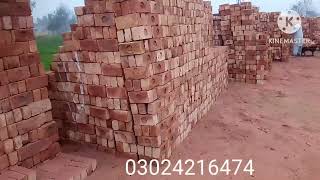 Bricks Rate Today  1000 Bricks Rate Today  Brick Rate January 2024  Red Brick price [upl. by Myrna]