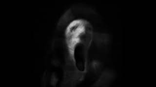 Distorted Horror Scream Sound Effect [upl. by Suirtemed623]