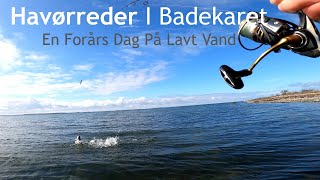 Havørreder I Badekaret  En Forårs Dag På Lavt Vand [upl. by Oakie]