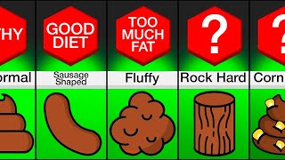 Comparison What Your Poop Says About Your Health [upl. by Hairom]