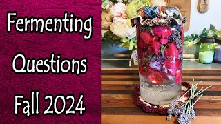 Fermenting Questions Fall 2024 [upl. by Eenot418]