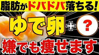 ゆで卵と一緒に食べるとごっそり痩せる！ダイエット効果を倍増させる食材【腸内環境／血糖値／便秘解消】 [upl. by Alyahc858]