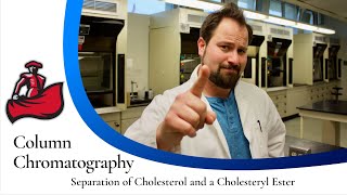 Column Chromatography of Cholesterol and a Cholesteryl Ester [upl. by Hammad]