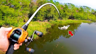 Fishing for 15lb Bass in HIDDEN Trophy Pond [upl. by Arised]