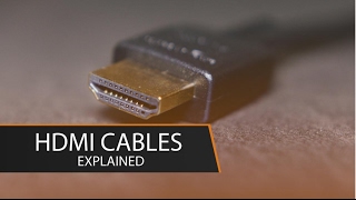 DisplayPort 12 vs DisplayPort 14  Explained [upl. by Ehsiom]