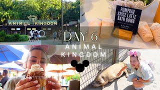 ORLANDO DAY 6  ANIMAL KINGDOM  BASIN AT DISNEY SPRINGS  SEPTEMBER 2023 [upl. by Arras]