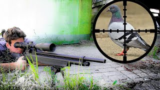 Farm Pest Control with 25 cal PCP Air Rifle Scope Cam [upl. by Baer216]