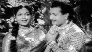 Bala Nagamma Movie Songs  Virisindi vintha haayi  Taraka Rama Rao Anjali Devi S V Ranga Rao [upl. by Ahsele733]